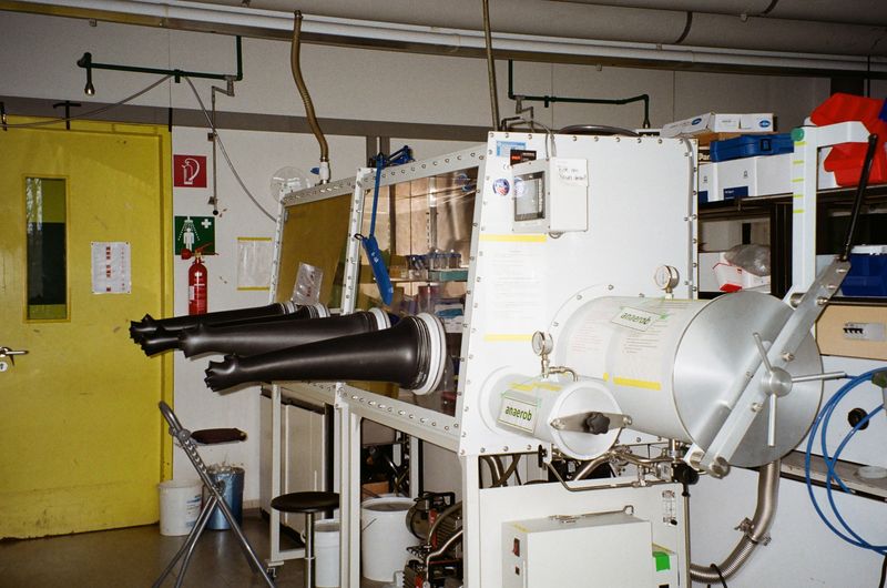 Central gas supply system